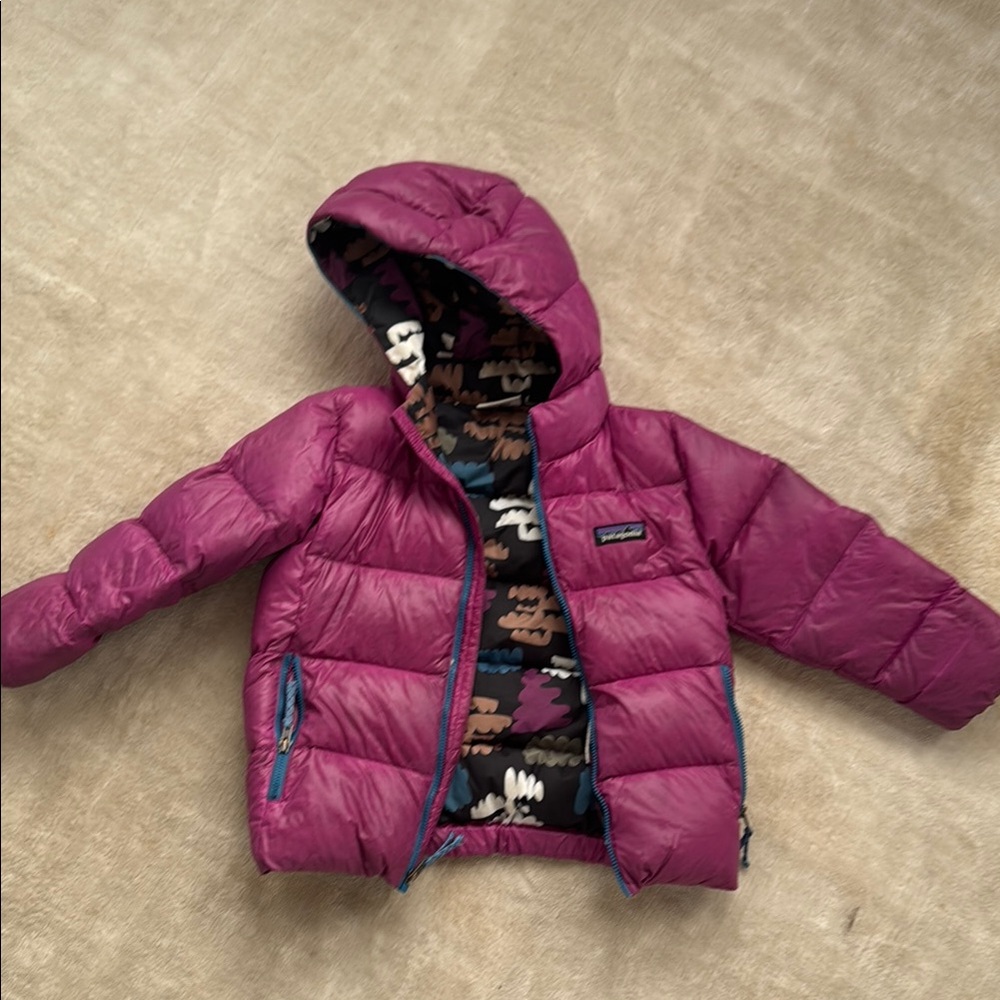 Patagonia Magenta Hooded Jacket